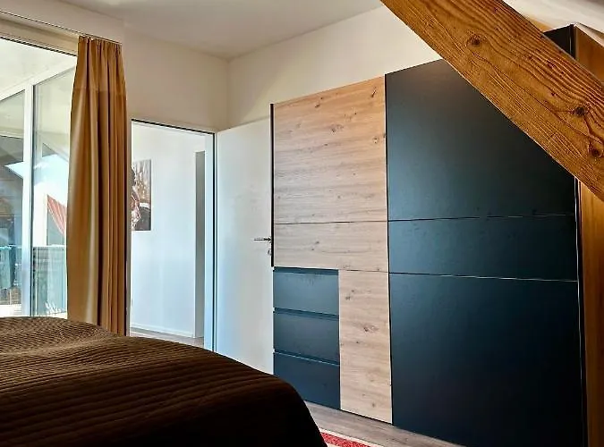 Wohnen Ueber Den Daechern Von * Bregenz